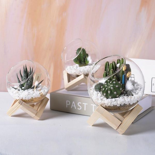 planters & pots white transparent glass flower pot with wooden holder nordic decoration home succulent terrarium maceteros decorativos
planters & pots white transparent glass flower pot with wooden holder nordic decoration home succulent terrarium maceteros decorativos