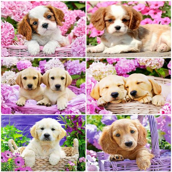 diamond painting evershine 5d dog picture of rhinestones mosaic animal full square embroidery cross stitch handicraft
diamond painting evershine 5d dog picture of rhinestones mosaic animal full square embroidery cross stitch handicraft
