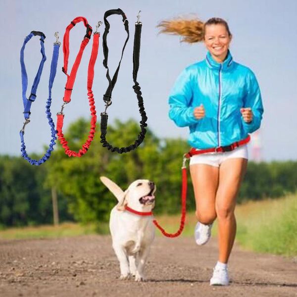 pet dog leash automatic retractable traction rope slip lead training elastic collar belt adjustable puppy accessories collars & leashes
pet dog leash automatic retractable traction rope slip lead training elastic collar belt adjustable puppy accessories collars & leashes