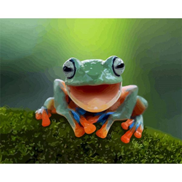 paintings selilali painting by numbers smile frog animal oil paint color on canvas handmade pos picture number wall art unique gift
paintings selilali painting by numbers smile frog animal oil paint color on canvas handmade pos picture number wall art unique gift