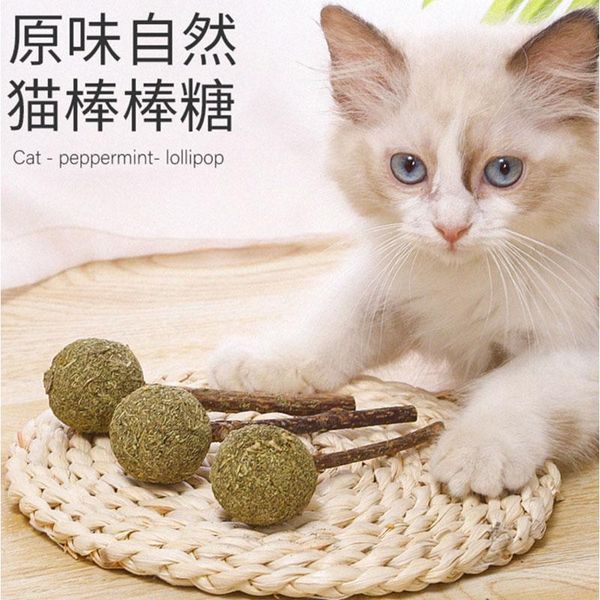 cat toys chew toy natural silvervine matatabi molar sticks mint licking balls catnip funny interactive for kitten playing chewing
cat toys chew toy natural silvervine matatabi molar sticks mint licking balls catnip funny interactive for kitten playing chewing