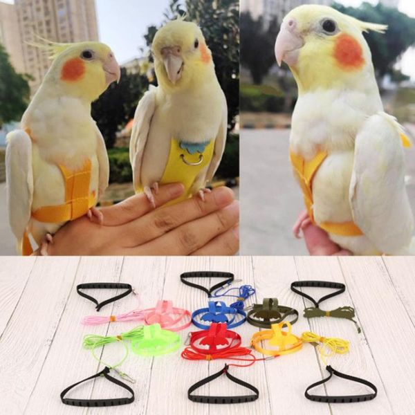 other bird supplies parrot harness and leash set adjustable outdoor flying training rope with wing
other bird supplies parrot harness and leash set adjustable outdoor flying training rope with wing