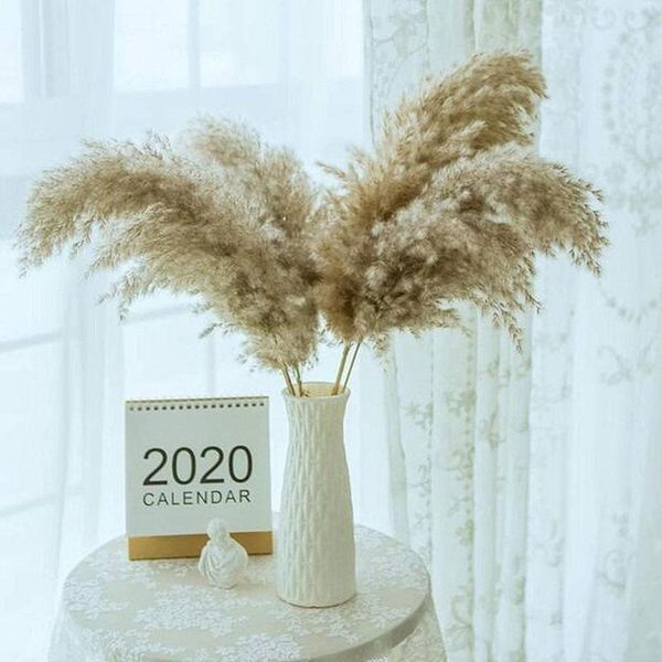 decorative flowers & wreaths 10pcs/bunch natural dried reeds bunch small dog's tail grass diy craft wedding bouquet pography prop home
decorative flowers & wreaths 10pcs/bunch natural dried reeds bunch small dog's tail grass diy craft wedding bouquet pography prop home