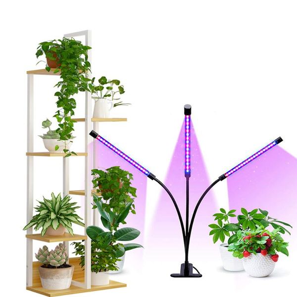 full spectrum led grow lights 9 dim brightness 3 switch modes with auto on/off 3/9/12h timing for indoor plants growth
full spectrum led grow lights 9 dim brightness 3 switch modes with auto on/off 3/9/12h timing for indoor plants growth