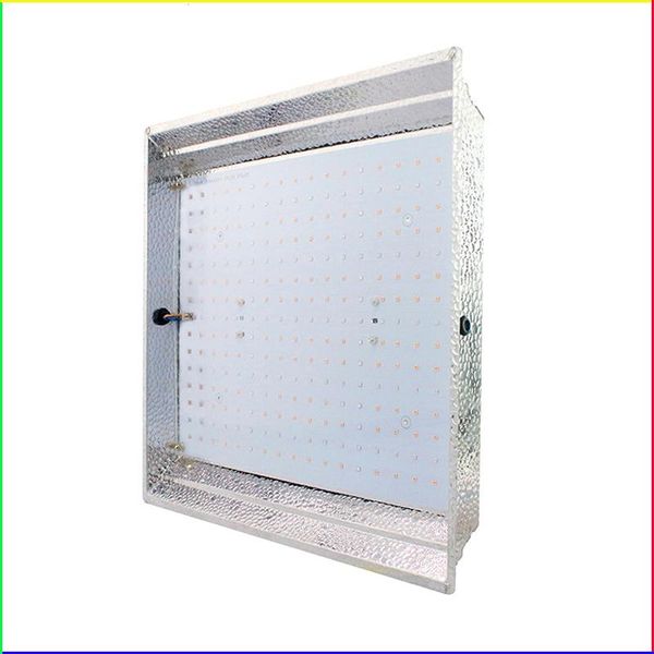 2021 new led qb plant growth supplement light 200w succulent nursery greenhouse tent planting lamp
2021 new led qb plant growth supplement light 200w succulent nursery greenhouse tent planting lamp