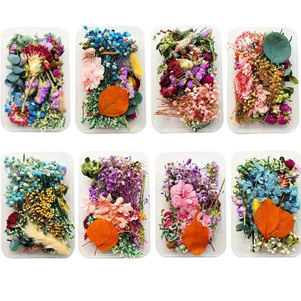 1box multi type dried flowers colorful diy natural handmade decorations accessories leaves flower heads for scrapbooking decor
1box multi type dried flowers colorful diy natural handmade decorations accessories leaves flower heads for scrapbooking decor