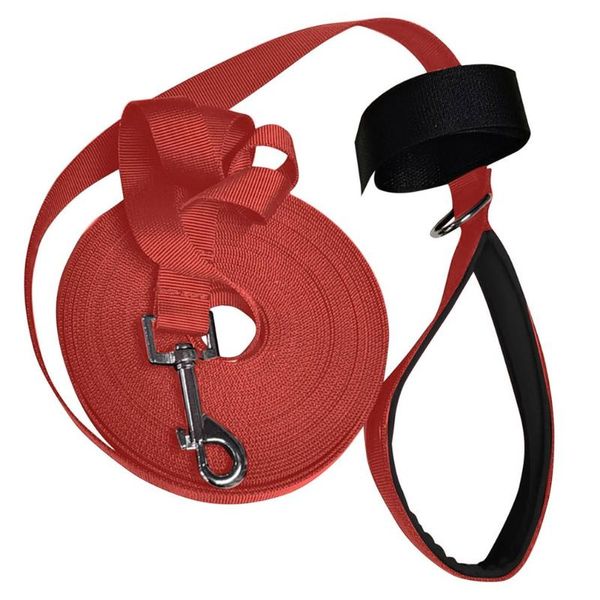nylon belt dog leash heavy duty polished gunmetal buckle pet dog tow rope pet suppliesdog supplies leash
nylon belt dog leash heavy duty polished gunmetal buckle pet dog tow rope pet suppliesdog supplies leash