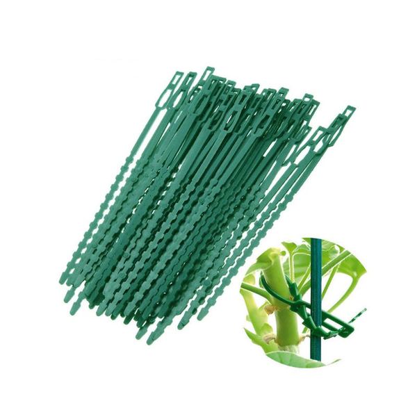 watering equipments 50pcsplastic multipurpose fish bone spur green garden banding supports plant clips to tie branches greenhouse fixing too
watering equipments 50pcsplastic multipurpose fish bone spur green garden banding supports plant clips to tie branches greenhouse fixing too