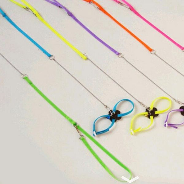 other bird supplies let's pet colorful parrot leash outdoor adjustable harness training rope flying cross band
other bird supplies let's pet colorful parrot leash outdoor adjustable harness training rope flying cross band