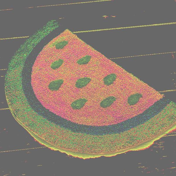 carpets real rugs and alfombras carpet watermelon personalized bath mats slip-resistant fashion super soft mat
carpets real rugs and alfombras carpet watermelon personalized bath mats slip-resistant fashion super soft mat