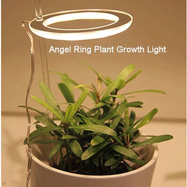 led grow lamps full spectrum seed plants flowers greenhouses plant light for plants growth lighting for indoor plant
led grow lamps full spectrum seed plants flowers greenhouses plant light for plants growth lighting for indoor plant