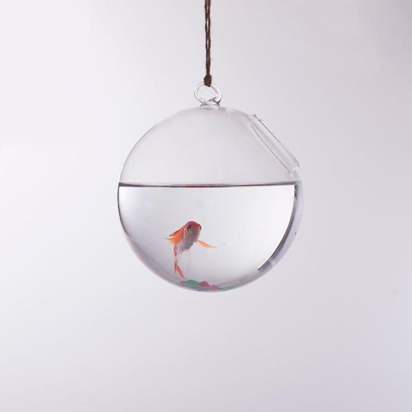 vases ball pattern glass flower hydroponic planter vase hanging plant bottle for garden green grass
vases ball pattern glass flower hydroponic planter vase hanging plant bottle for garden green grass