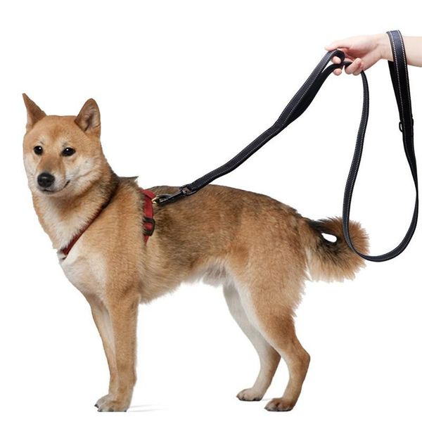 pet supplies large dogs medium-sized dog leash outdoor double-end haulage cable nylon night lights traction belt opp c241
pet supplies large dogs medium-sized dog leash outdoor double-end haulage cable nylon night lights traction belt opp c241