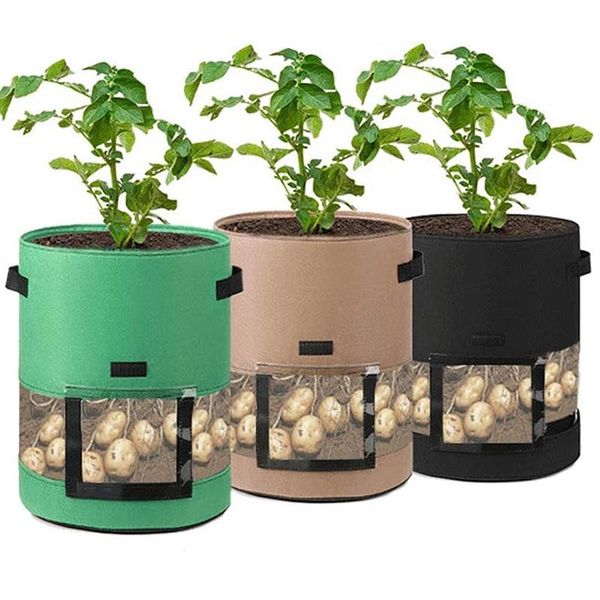 planters & pots potato planting bag 10 gallons 3 packs, pot with transparent window, tomato carrot
planters & pots potato planting bag 10 gallons 3 packs, pot with transparent window, tomato carrot