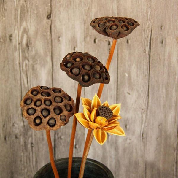 natural dried lotus flowers with seed dry flower arrangement pressed flowers diy party home decor crafts office table decoration
natural dried lotus flowers with seed dry flower arrangement pressed flowers diy party home decor crafts office table decoration