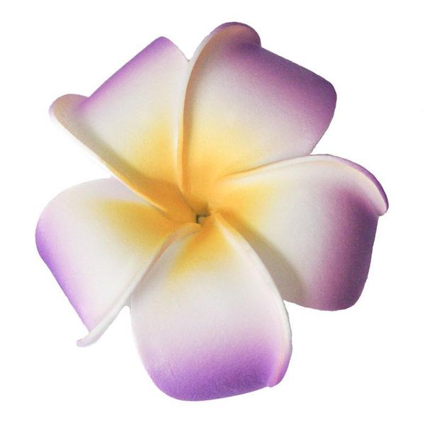 women's girls plumeria hair clip hairpin headwear wedding flower decoration scrapbooking fake flower
women's girls plumeria hair clip hairpin headwear wedding flower decoration scrapbooking fake flower