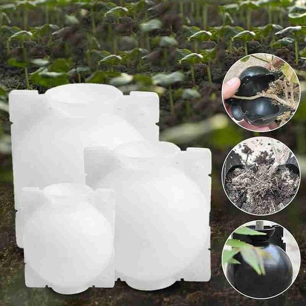 5pcs plant rooting ball grafting rooting growing box breeding case plant root growing box for garden 5cm in diameter
5pcs plant rooting ball grafting rooting growing box breeding case plant root growing box for garden 5cm in diameter
