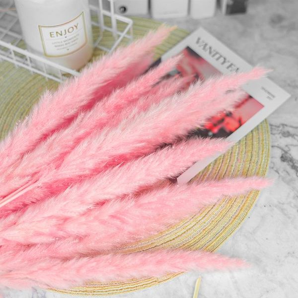 decorative flowers & wreaths 30pcsreed dried pampas grass pink decoration art ins bei europfine shooting props
decorative flowers & wreaths 30pcsreed dried pampas grass pink decoration art ins bei europfine shooting props