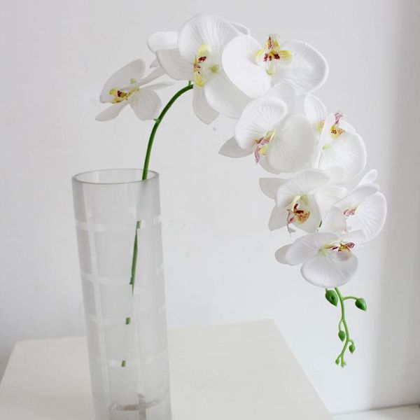 decorative flowers & wreaths simulation butterfly orchid bouquet wedding event party home decor pography creative props artificial
decorative flowers & wreaths simulation butterfly orchid bouquet wedding event party home decor pography creative props artificial