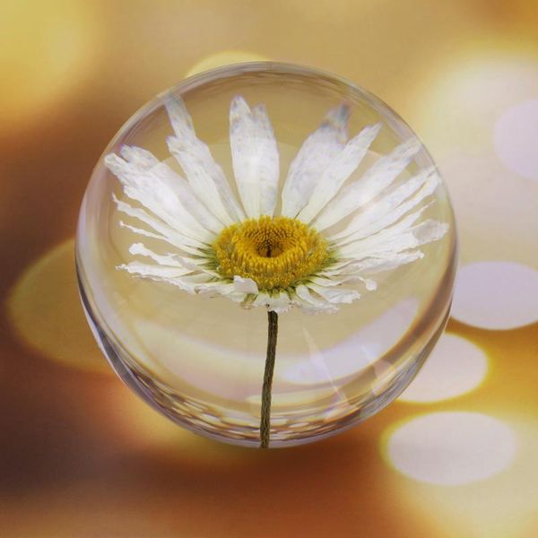novelty items real white chrysanthemum crystal glass resin lens ball 7cm natural plants flower specimen christmas love mum gift with box glo
novelty items real white chrysanthemum crystal glass resin lens ball 7cm natural plants flower specimen christmas love mum gift with box glo