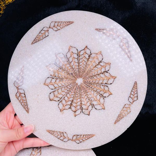 decorative objects & figurines natural ammonite disc fossil conch specimen healing
decorative objects & figurines natural ammonite disc fossil conch specimen healing