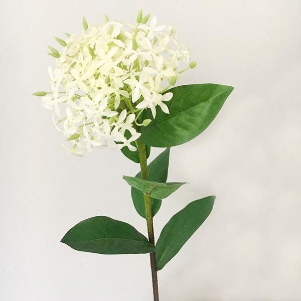 model single bottle plastic flowers lad flower large bouquet home living room decoration imitation flowers
model single bottle plastic flowers lad flower large bouquet home living room decoration imitation flowers