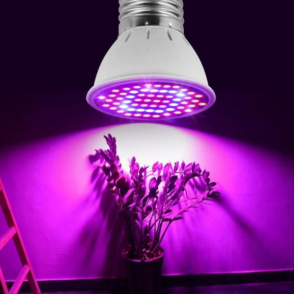 grow lights full spectrum led light phytolamp for plants flower vegetable growing indoor greenhouse hydroponics lamp e27
grow lights full spectrum led light phytolamp for plants flower vegetable growing indoor greenhouse hydroponics lamp e27