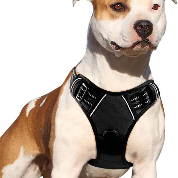 dog collars & leashes harness soft adjustable breathable reflective pet harness vest for small large outdoor running dogs training accessori
dog collars & leashes harness soft adjustable breathable reflective pet harness vest for small large outdoor running dogs training accessori
