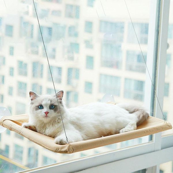 cat beds & furniture pet hanging bed sucker window mounted perch hammock wood shelf seat climbing toys supports up to 15kg
cat beds & furniture pet hanging bed sucker window mounted perch hammock wood shelf seat climbing toys supports up to 15kg