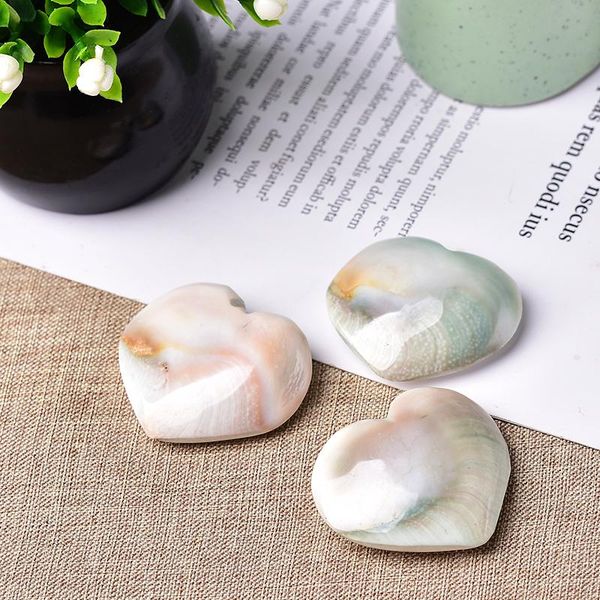 1pc delicate natural stone shell heart-shaped madagascar sun shell crystal heart stone snails shape healing dreamlike gift
1pc delicate natural stone shell heart-shaped madagascar sun shell crystal heart stone snails shape healing dreamlike gift
