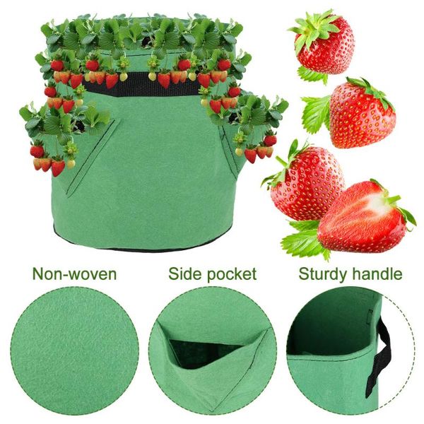 planters & pots non-woven multi mouth plant grow bags pot potato strawberry vegetable planter container home jardin flower planting tools
planters & pots non-woven multi mouth plant grow bags pot potato strawberry vegetable planter container home jardin flower planting tools