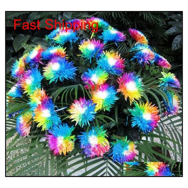 100 pcs/bag rainbow chrysanthemum flower seeds ornamental bonsai, rare color , more chrysanthemum seeds garden flo qylsxw sports2010
100 pcs/bag rainbow chrysanthemum flower seeds ornamental bonsai, rare color , more chrysanthemum seeds garden flo qylsxw sports2010