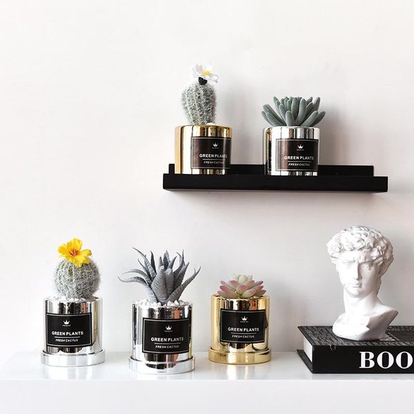golden cactus succulent simulation plant potted artificial plants potted bonsai creative cactus bonsai home deskdecoration
golden cactus succulent simulation plant potted artificial plants potted bonsai creative cactus bonsai home deskdecoration