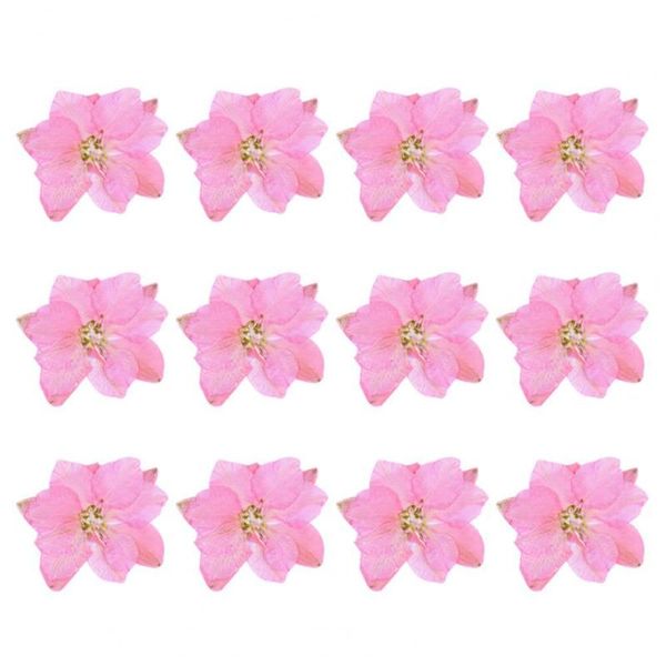 12pcs dried flowers epoxy resin diy creation long-lasting dried pressed flowers for bookmark home party decoration
12pcs dried flowers epoxy resin diy creation long-lasting dried pressed flowers for bookmark home party decoration
