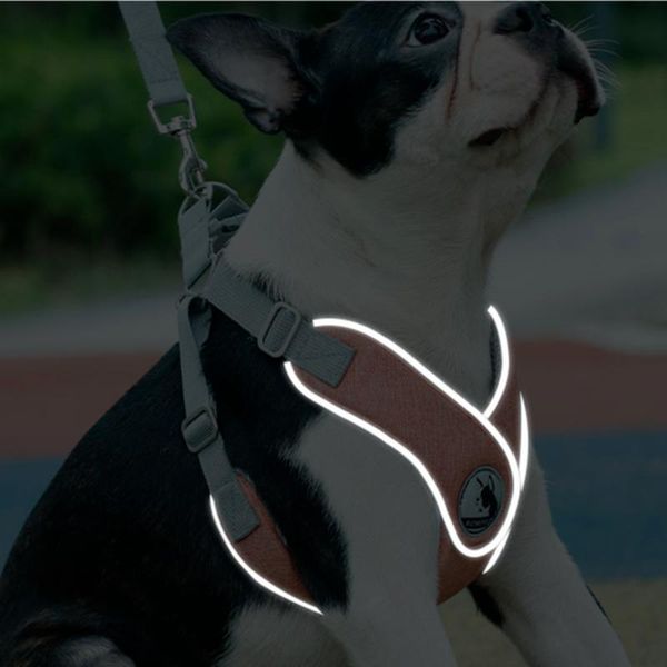 dog collars & leashes style traction rope small chain walking vest teddy pet chest strap
dog collars & leashes style traction rope small chain walking vest teddy pet chest strap