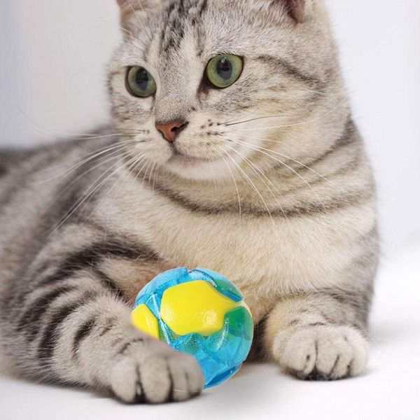 cat toys pet bite resistant elastic ball dogs cats molar interactive chew training durable funny
cat toys pet bite resistant elastic ball dogs cats molar interactive chew training durable funny