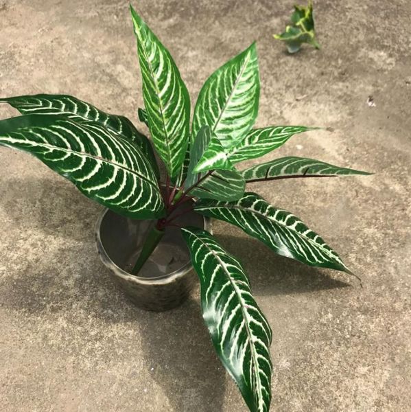 decorative flowers & wreaths 10 leaves of zebra plant bonsai artificial plastic grass fence outdoor wall decoration
decorative flowers & wreaths 10 leaves of zebra plant bonsai artificial plastic grass fence outdoor wall decoration