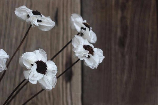 5pcs hypericum chinese flowering crabapple dried flower for wedding party home l decoration diy bouquet project accessory
5pcs hypericum chinese flowering crabapple dried flower for wedding party home l decoration diy bouquet project accessory