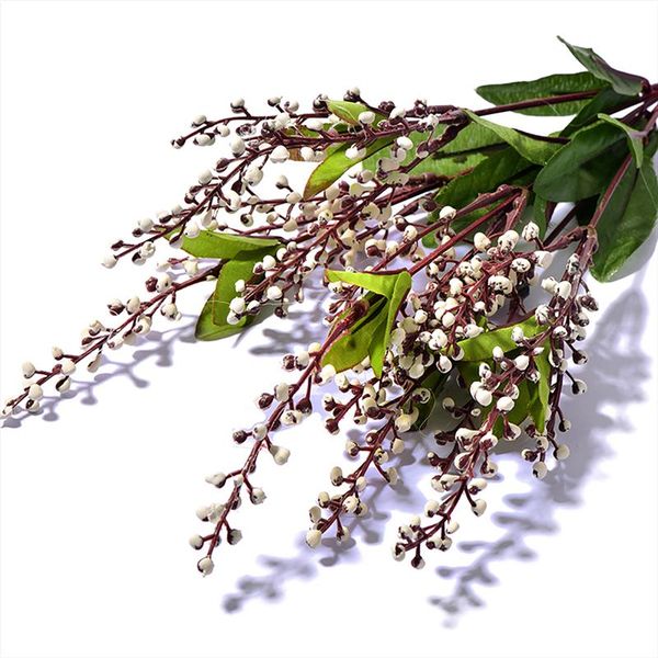 decorative flowers & wreaths artificial plants lover tears arrangement material plant wall accessories home christmas decoration flower
decorative flowers & wreaths artificial plants lover tears arrangement material plant wall accessories home christmas decoration flower