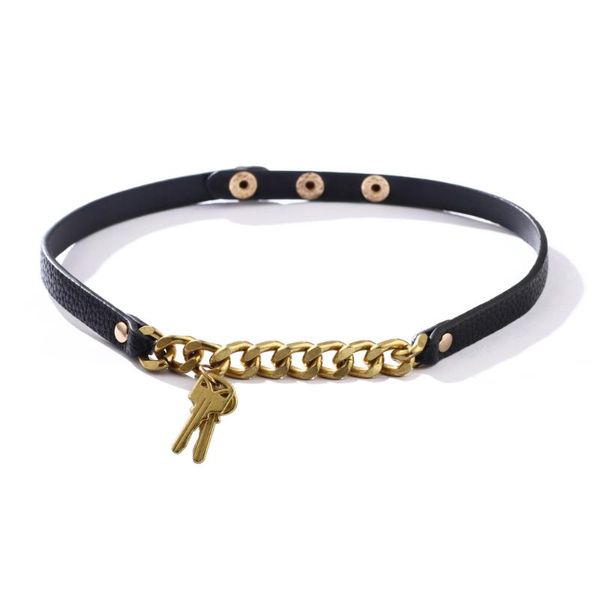 chokers punk 3 color pu leather key chain vintage collar choker for women fashion small fresh necklace birthday party statement jewelry, Golden;silver
chokers punk 3 color pu leather key chain vintage collar choker for women fashion small fresh necklace birthday party statement jewelry, Golden;silver