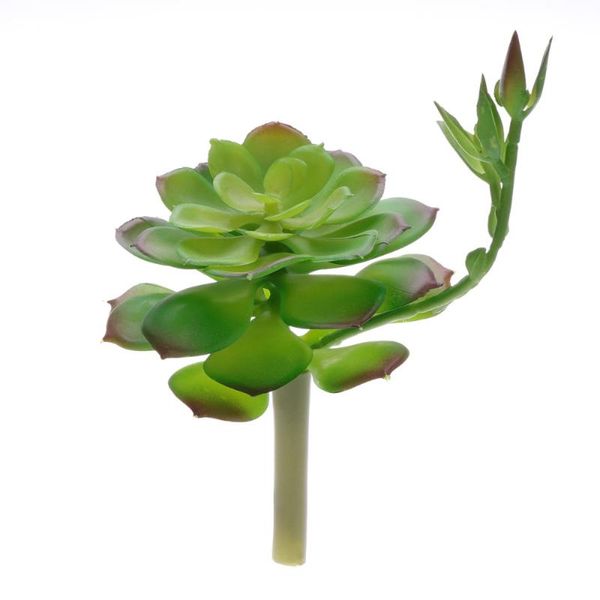 decorative artificial plants succulent lotus floral foliage fake plant lifelike plant faux encrinite table garden kitchen home
decorative artificial plants succulent lotus floral foliage fake plant lifelike plant faux encrinite table garden kitchen home