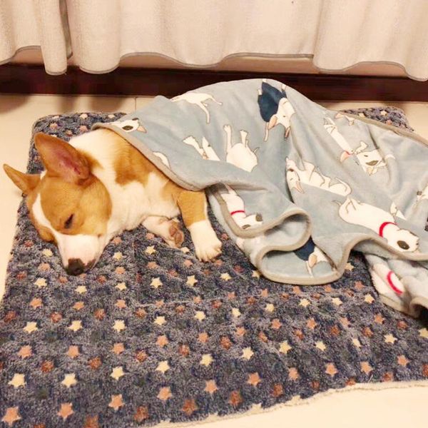 kennels & pens pet cushion thickened autumn and winter warmth mat cats dogs bed general blanket non-slip warm pad dog accessories
kennels & pens pet cushion thickened autumn and winter warmth mat cats dogs bed general blanket non-slip warm pad dog accessories