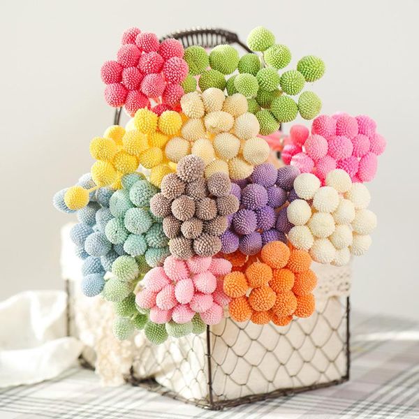 decorative flowers & wreaths 10pcs big ball gypsophila eucalyptus golden real preserved artificial yellow dried flower for home wedding chri
decorative flowers & wreaths 10pcs big ball gypsophila eucalyptus golden real preserved artificial yellow dried flower for home wedding chri