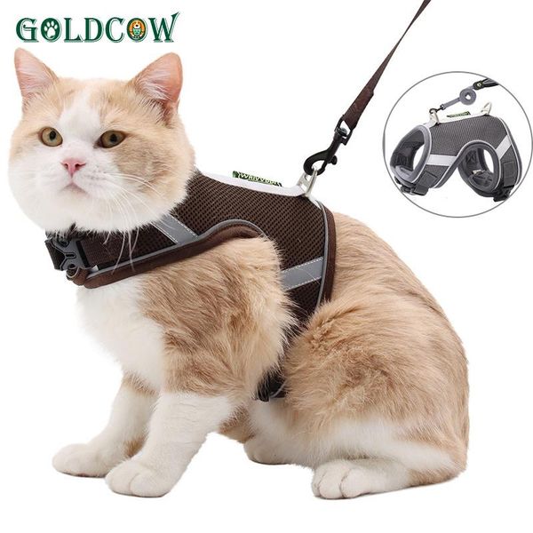 cat collars & leads dogs outdoor walking leash set pet harness vest for small reflective and breathable mesh puppy
cat collars & leads dogs outdoor walking leash set pet harness vest for small reflective and breathable mesh puppy