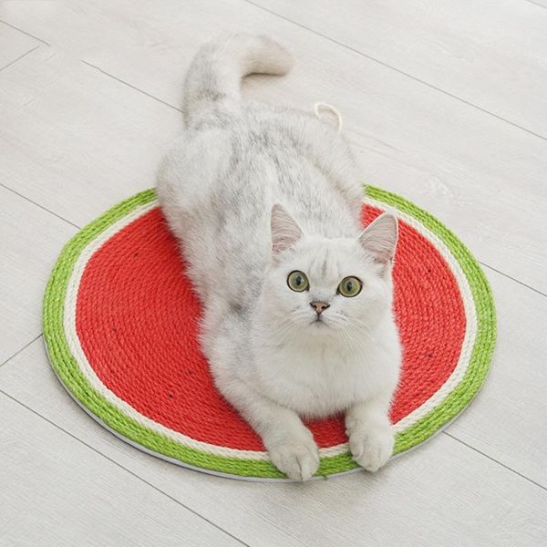 cat beds & furniture wall mounted/floor scratch mat kitten good behavior supplies non-toxic board sisal handmade
cat beds & furniture wall mounted/floor scratch mat kitten good behavior supplies non-toxic board sisal handmade