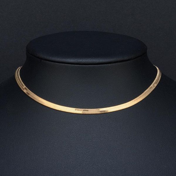 chains european and american women gold blade chain on neck choker fashion simple short flat snake clavicle jewelry gift, Silver
chains european and american women gold blade chain on neck choker fashion simple short flat snake clavicle jewelry gift, Silver