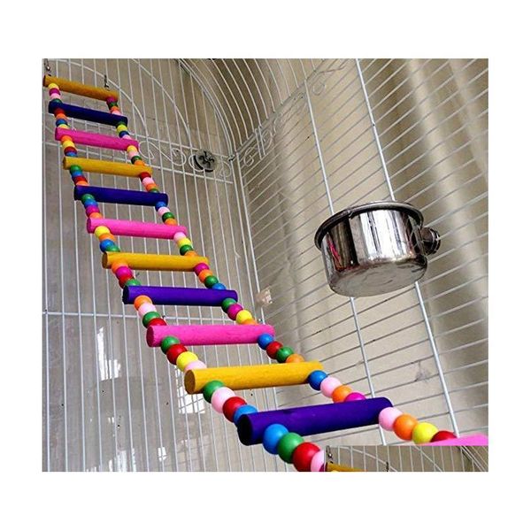 colored bird ladder parrot swings bird toys cage accessories for cockatiel conure parakee jlllqm lucky2005
colored bird ladder parrot swings bird toys cage accessories for cockatiel conure parakee jlllqm lucky2005