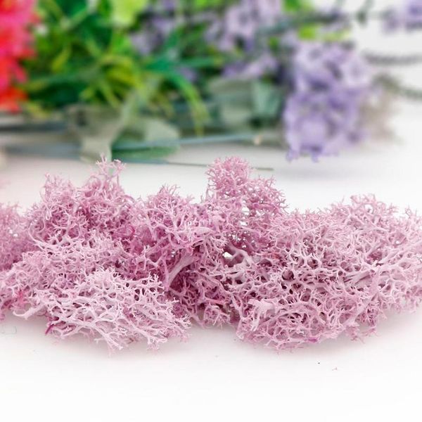 20g/pack green plant immortal everlasting flower moss grass home living room decorative wall diy flower mini acc jllfdw
20g/pack green plant immortal everlasting flower moss grass home living room decorative wall diy flower mini acc jllfdw