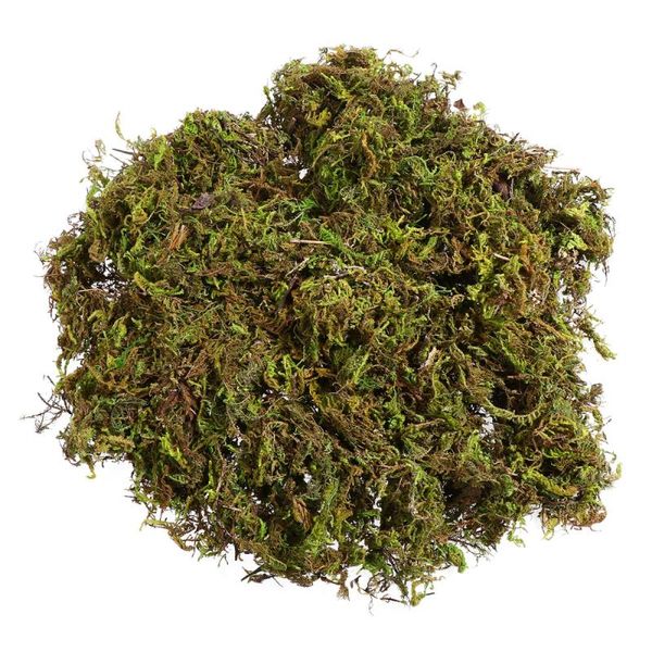 3 packs artificial moss lichen simulation fake green plants for home garden patio decoration (about 60g
3 packs artificial moss lichen simulation fake green plants for home garden patio decoration (about 60g