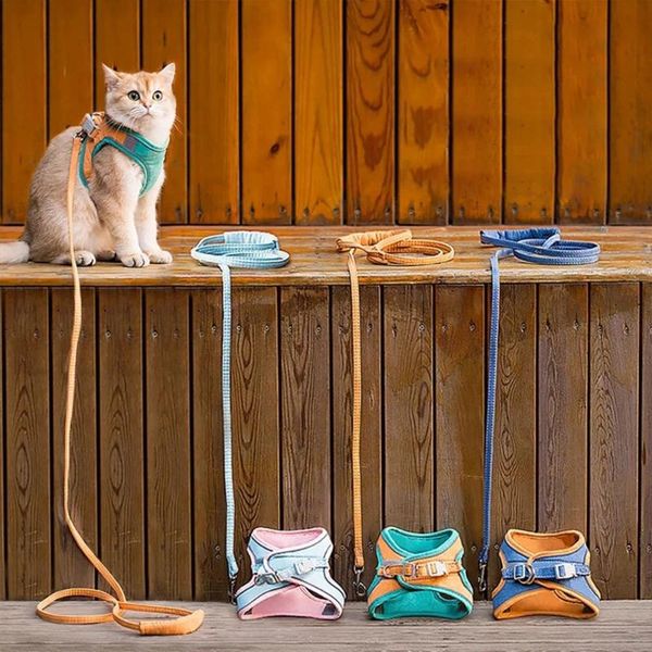 cat collars & leads harnesses with leashes set escape proof accessories adjustable reflective soft mesh vest fit kitten dogs outdoor
cat collars & leads harnesses with leashes set escape proof accessories adjustable reflective soft mesh vest fit kitten dogs outdoor